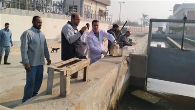 رفع عينات مشتركة من محطات معالجة الصرف الصحي ببني سويف 