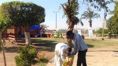 محافظ أسوان يوجه بوضع اللمسات الجمالية لتهيئة الأجواء الاحتفالية بأعياد الكريسماس 