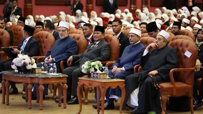 الضويني للرئيس الإندونيسي: الأزهر مؤسسة تعليمية ودينية تحمل نموذج الإسلام المعتدل