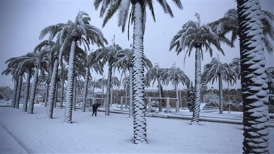 السعودية.. ثلوج وأمطار رعدية وطقس شديد البرودة 