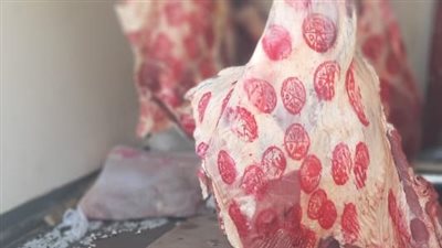 %25 تخفيضات على اللحوم والدواجن.. الزراعة تطلق منافذ بيع متحركة بأسيوط 