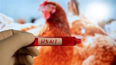 أمريكا تنهي حالة الطوارئ بسبب إنفلونزا الطيور