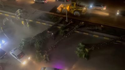 بعد إزالة نخيل بجزيرة شارع الهرم.. المحافظة ترد: تم نقلها إلى موقع آخر بسبب أعمال المترو