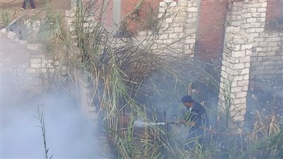 السيطرة على حريق بوص بجوار مجموعة منازل في بنها