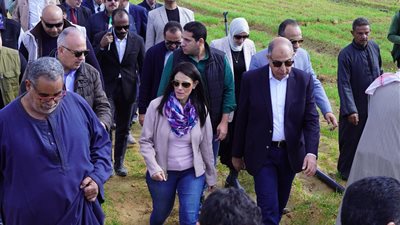 المشاط: 62 مليار جنيه استثمارات لتنمية محافظات الصعيد.. 11% منها للمنيا