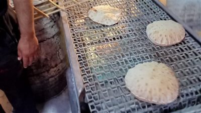 صغروا حجم رغيف العيش.. تحرير 4 محاضر لمخابز في كفر الشيخ| صور 