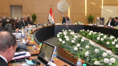 القابضة لكهرباء مصر: الاستثمارات بالشركة بلغت نحو 18.29 مليون جنيه هذا العام 