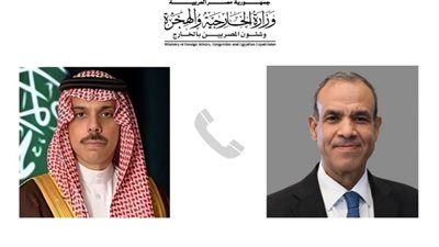 وزير الخارجية ونظيره السعودي يبحثان تطورات الوضع في سوريا 