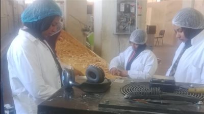 زيادة عدد المصانع المُشغلة بالمنطقة الصناعية بالبغدادي في الأقصر إلى 24 مصنعًا