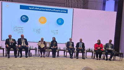 التضامن: مشروع الأسر المنتجة يستهدف تنمية الموارد الاقتصادية للأسرة