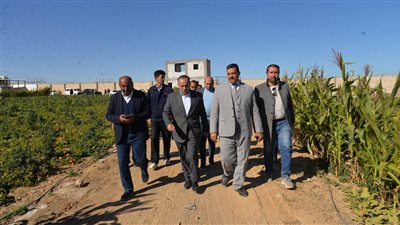 لإنتاج 225 مليون بيضة سنويا.. محافظ أسيوط يتفقد التوسعات الجديدة لأكبر مشروع داجني بالمحافظة