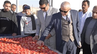 محافظ الأقصر يشيد بتجربة تجفيف الطماطم وتصديرها للخارج.. ويعلن طرح مجمع الصناعات الغذائية للاستثمار قريبا