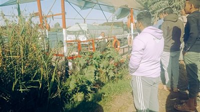 جنوح معدية ركاب تربط بين أشمون والسادات بالمنوفية