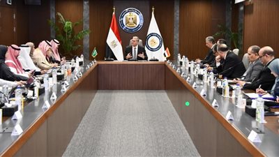 تعاون مصري سعودي لإطلاق مبادرة لتطوير وتحسين كفاءة استهلاك الطاقة