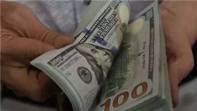 شهادات الادخار بالعملات الأجنبية في أهم البنوك العاملة بالقطاع المصرفي المصري