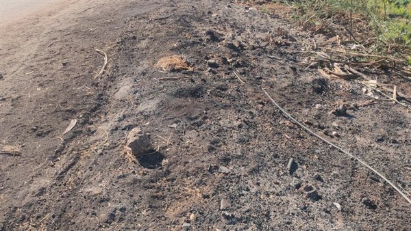 سقوط سلك كهربائي