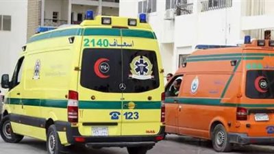 بسبب استنشاق غاز.. إصابة 6 أشخاص من أسرة واحدة في قرية تلة بالمنيا 