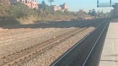 كان رايح الشغل.. مصرع مُسن أسفل عجلات القطار بسوهاج | بث مباشر 