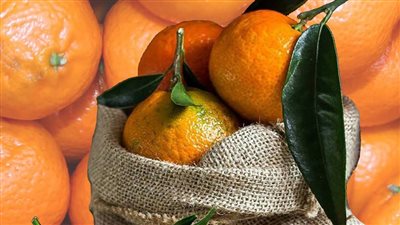 الإحصاء: مصر صدرت يوسفي بـ 214 مليون دولار خلال 12 شهرًا