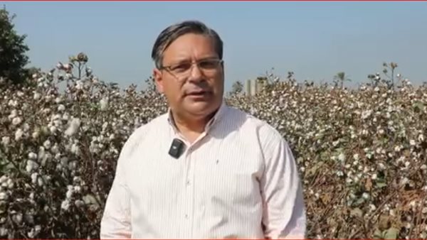  الدكتور مصطفى عمارة