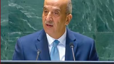 مندوب مصر بمجلس الأمن: نطالب بإجبار إسرائيل على وقف استهداف المستشفيات في غزة 