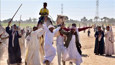 محافظ الأقصر يشهد انطلاق سباق الهجن بإسنا.. ويوجه بتطوير مضمار حاجر المساوية