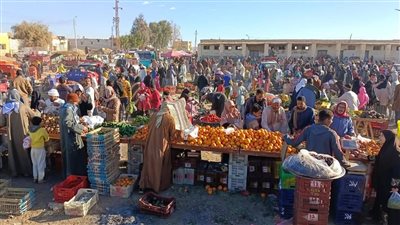 محافظ الوادي الجديد: تعميم تجربة سوق اليوم الواحد بجميع القرى والمدن