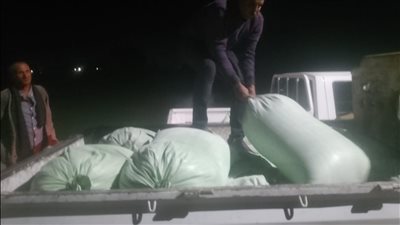 ضبط أطنان من الدقيق المدعم و720 علبة سجائر مجهولة المصدر بالإسكندرية