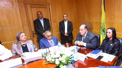 الجمعيات الأهلية: نجدد البيعة للرئيس السيسي.. وسنعقد مؤتمرات وندوات توعوية بالوضع الراهن وللتصدي إلى الشائعات