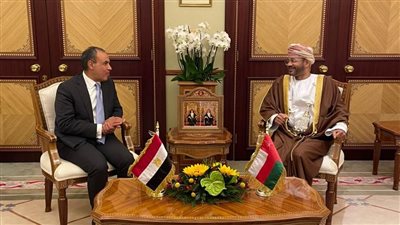 مباحثات سياسية بين وزير الخارجية ونظيره العماني