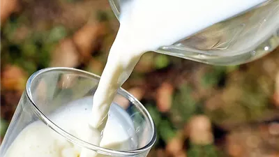 ما تأثير استبدال حليب البقر بالنباتي على الجسم؟