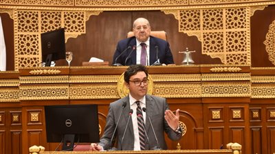 الحفاظ على التراث.. هنو يقدم كشف حساب عن فترة توليه وزارة الثقافة أمام الشيوخ