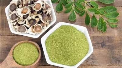 مفيدة ولكن احذر في هذه الحالة.. فوائد المورينجا للرجال والنساء وأضرارها