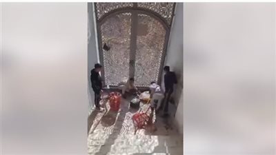 بيعذبوها بهدف المزاح.. حبس المتهمين بتعذيب قطة بالغربية 4 أيام على ذمة التحقيقات