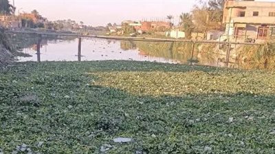 محافظ السويس: تكثيف أعمال تطهير الترعة ورفع الإشغالات لضمان جودة الخدمات