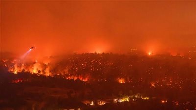 بعد ارتفاع الوفيات إلى 16.. استخدام الكلاب للبحث عن ضحايا حرائق لوس أنجلوس