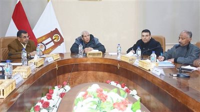 محافظ الوادي الجديد: بدء تقنين أراضي عام 2006 