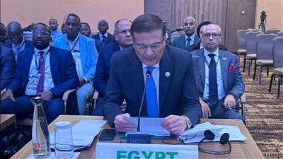  وزير الزراعة: ندعو شركاء التنمية لدعم إفريقيا للمساهمة في تحقيق طموحات أبنائها