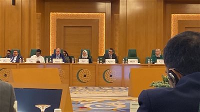 مستشارة شيخ الأزهر: اللغة العربية ركيزة الحضارة.. ودور مصر في صونها مستمر عبر العصور