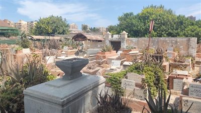 محافظة الإسكندرية تكشف حقيقة هدم المقابر | بث مباشر