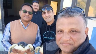 محمية أشتوم الجميل: إنقاذ السلحفتين هانيا وتاليا ضمن جهود حماية الكائنات المهددة بالانقراض| صور 