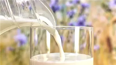 ماذا يحدث للجسم في حالة الابتعاد عن منتجات الألبان؟