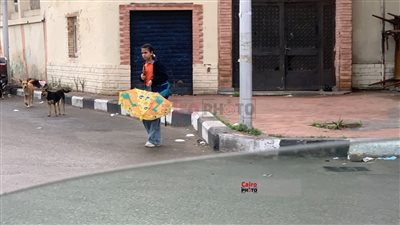 يعود لعام 2021.. تعليم الإسكندرية ترد على شائعة تسريب امتحان العربي للشهادة الإعدادية