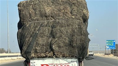 الأمن يفحص فيديو سحل كلب وربطه بحبل في سيارة نقل بطريق القاهرة - الإسماعيلية