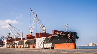 ميناء دمياط يستقبل 1036 رأس ماشية بإجمالي وزن 311 طنا