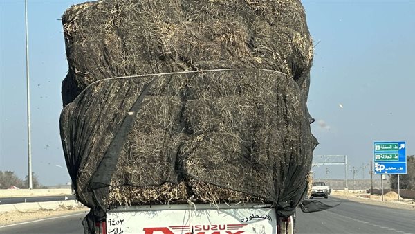 جانب من الواقعة