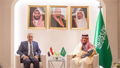 وزير الخارجية يلتقي نظيره السعودي لبحث الأوضاع في سوريا