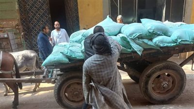 ضبط 1.3 طن دقيق بلدي خاص بالمخابز قبل بيعه في السوق السوداء بقنا