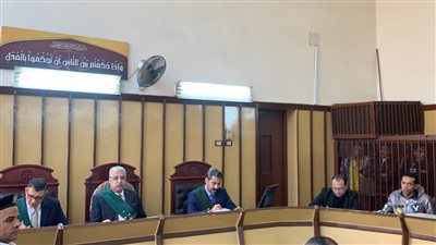 السجن 10 سنوات لمتهمين هتكا عرض صغيرة ببورسعيد