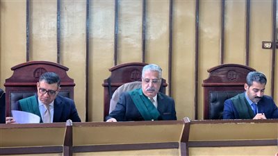 بسبب صنبور مياه.. المؤبد لقاتل جاره بسكين في بورسعيد 